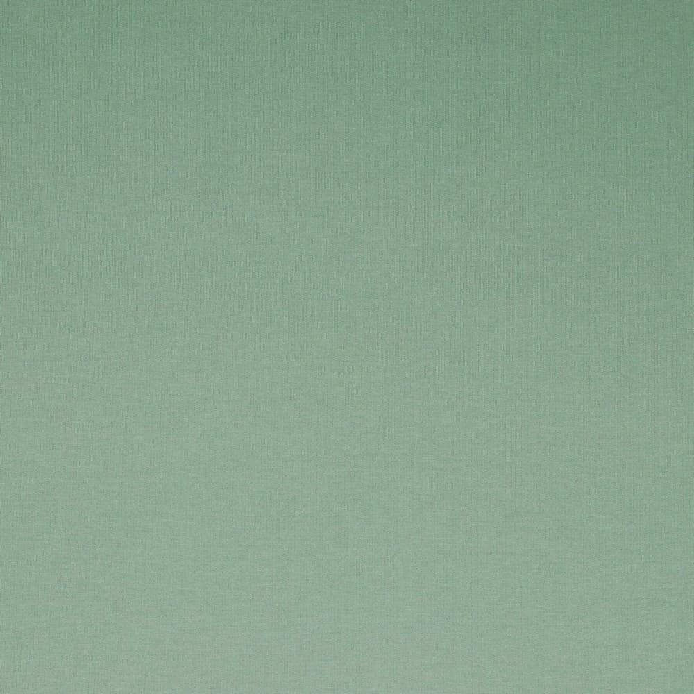 Solid Cotton Oeko-Tex Euro Soft Sweat - Willow