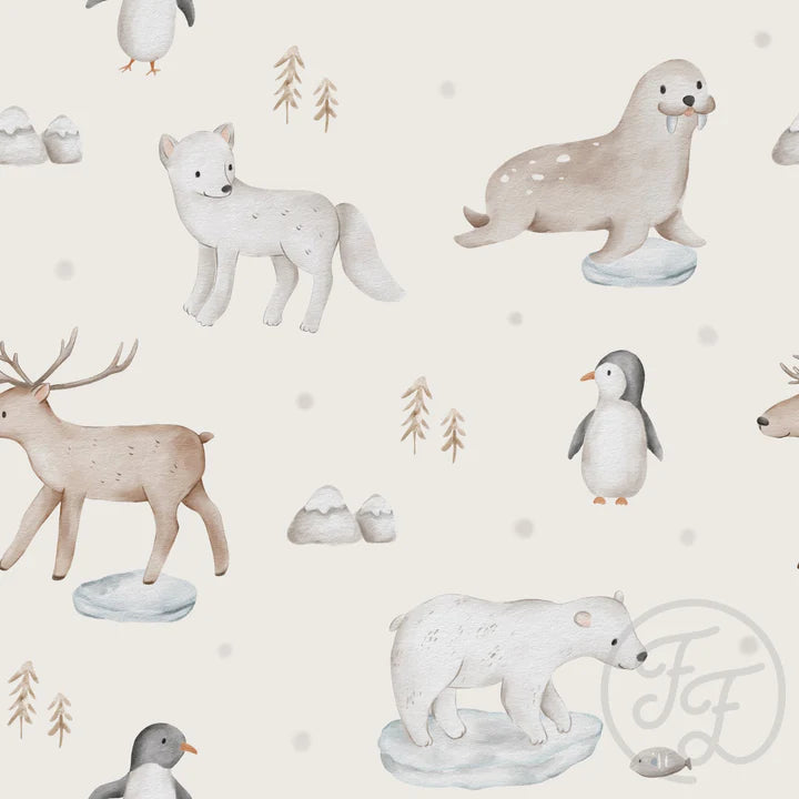 Arctic Animals