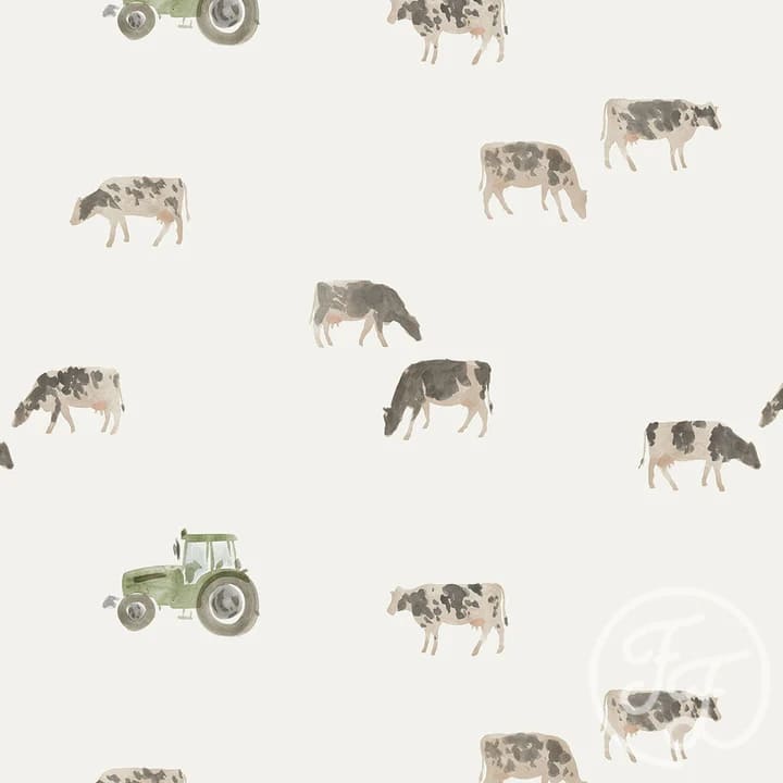 Cows