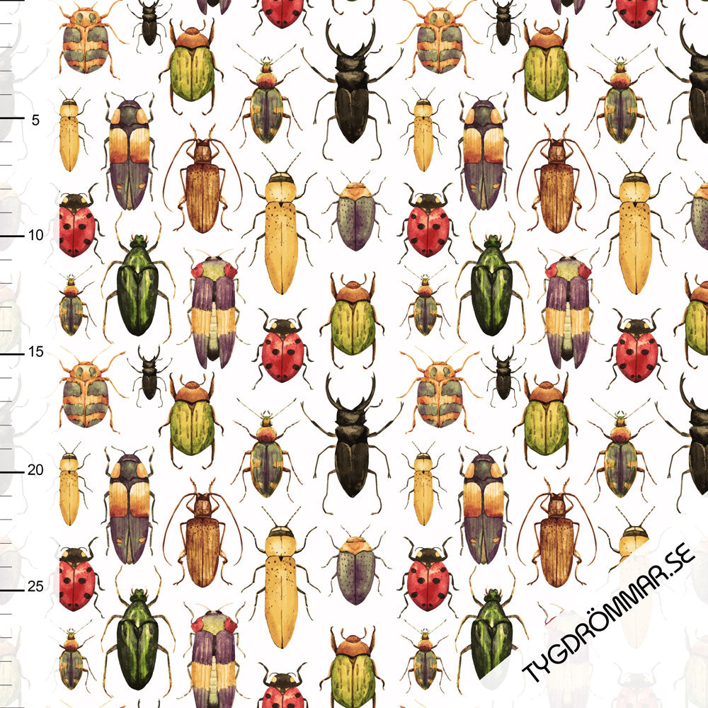 Sweet Bug Jersey - White