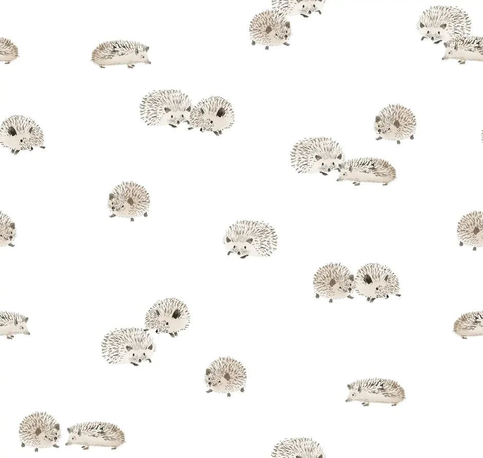 Hedgehog