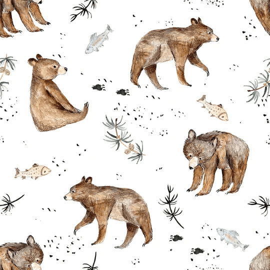 Bear And Fish
