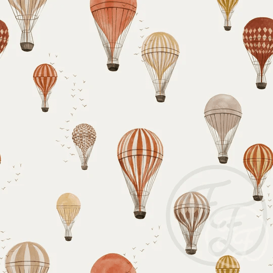 Hot Air Balloon