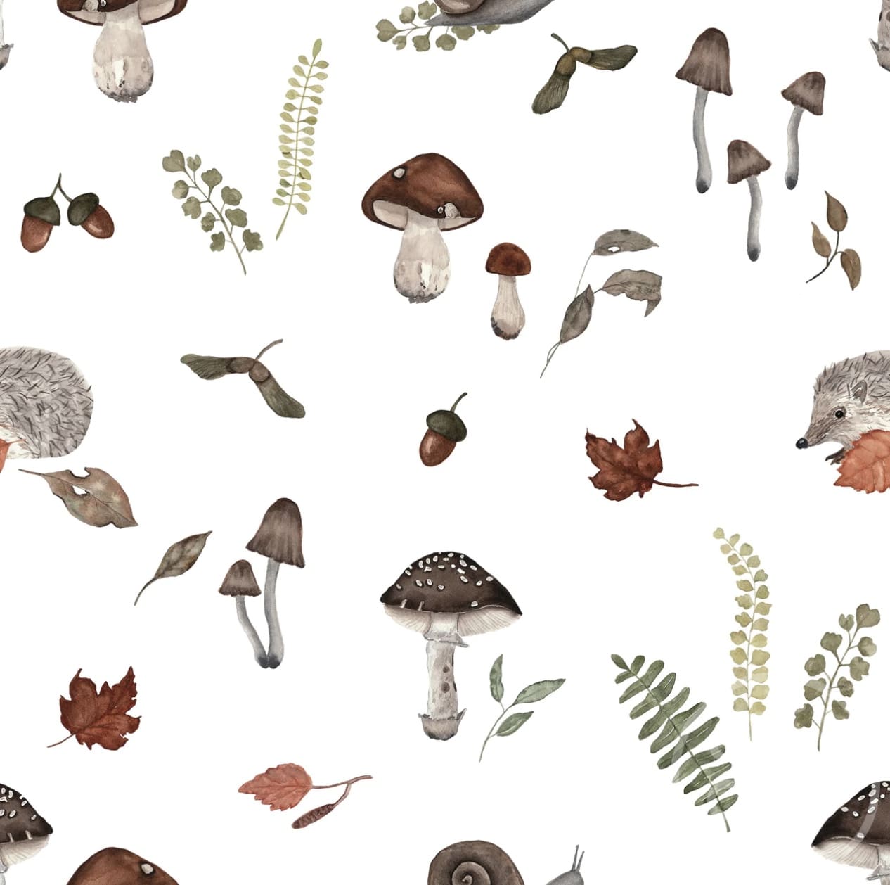 Autumn Forest