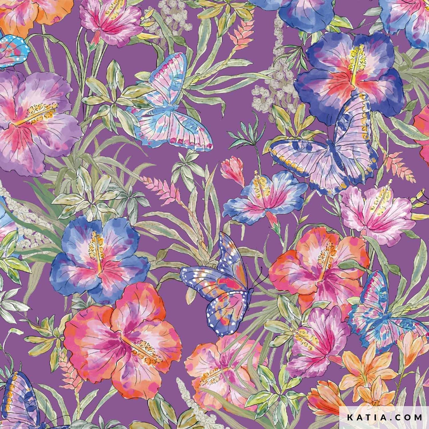 Swim Print Amazonia Butterfly