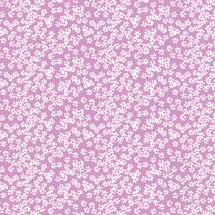 Snow In Summer Purple