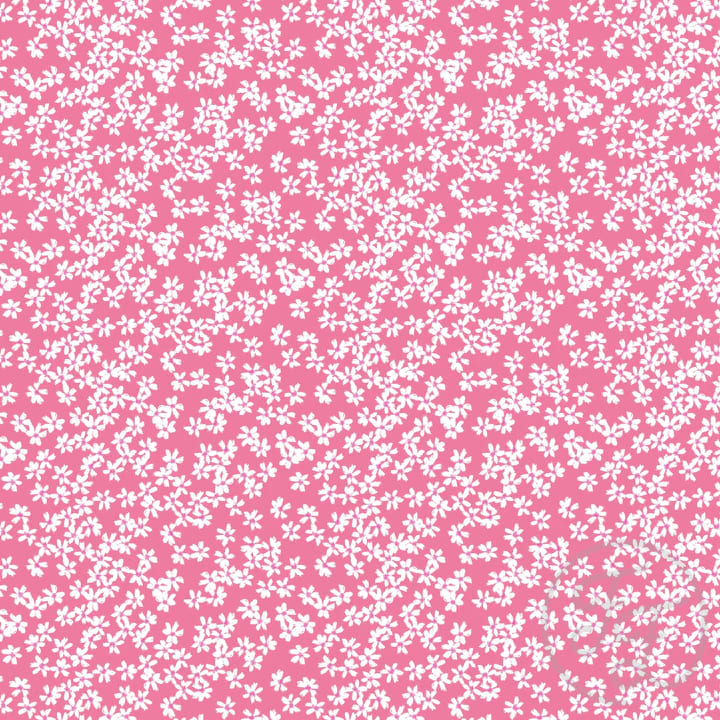 Snow In Summer Pink