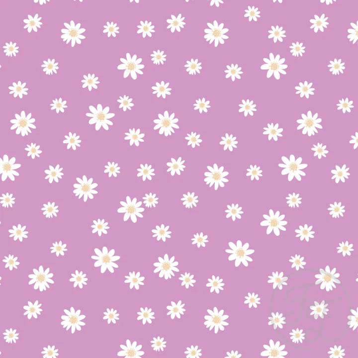 Daisies Purple