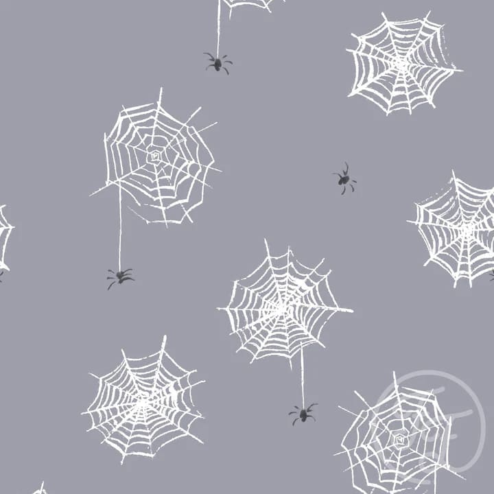Spiderweb Sky
