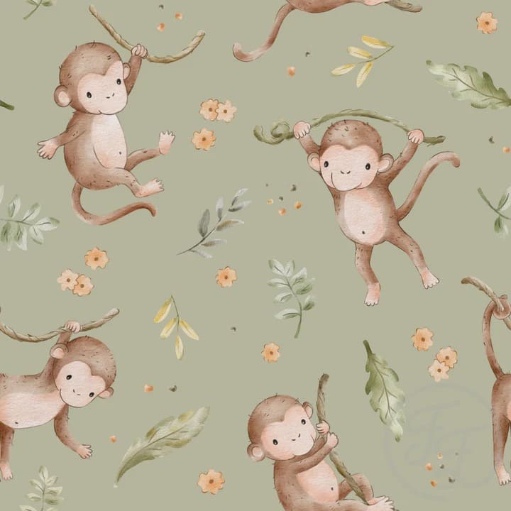 Monkeys Olive