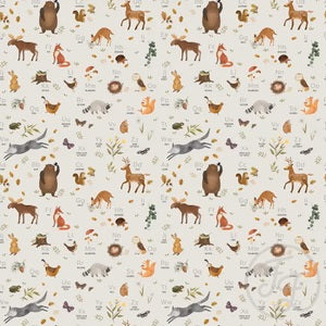 Alphabet Forest Friends