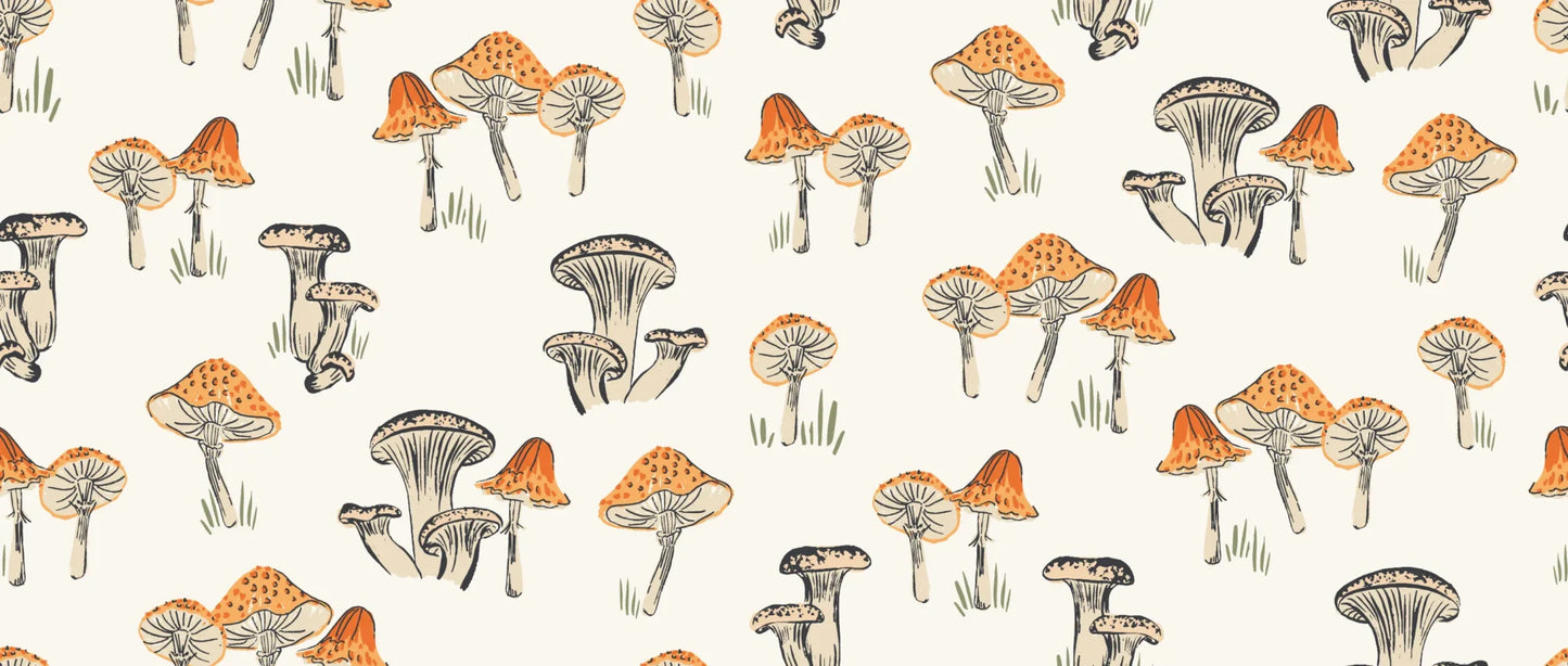 Little Mushroom Cream Orange
