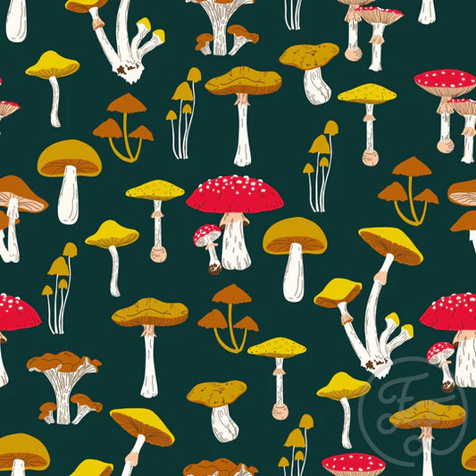Mushrooms in Gable Green