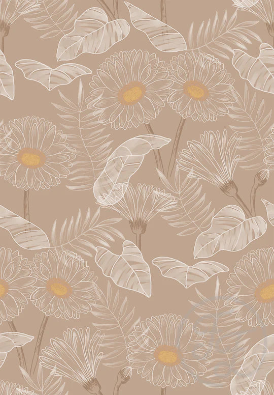 Gerbera - Grey