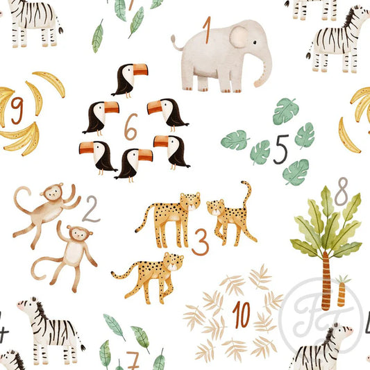 Safari Numbers Small