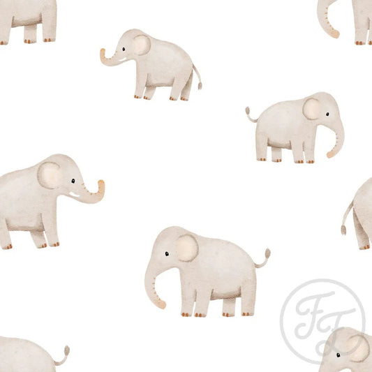 Safari Elephant White