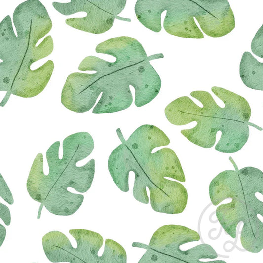 Safari Monstera Big