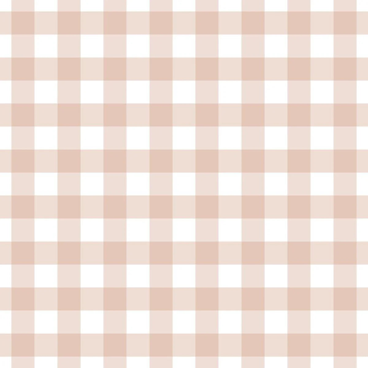 Gingham Clay Pink