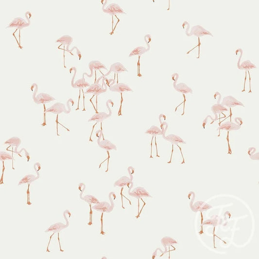 Flamingos