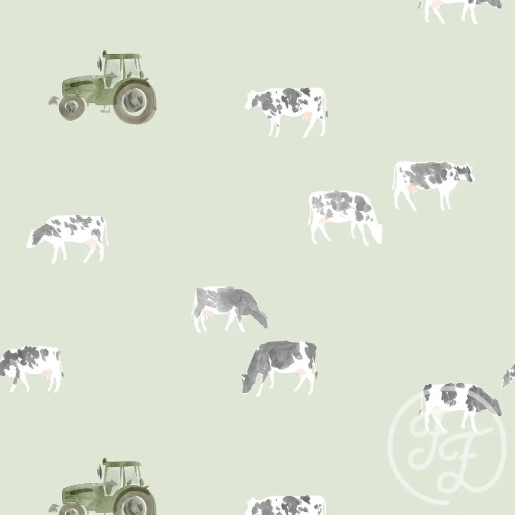Cows Sage