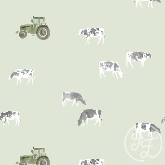 Cows Sage