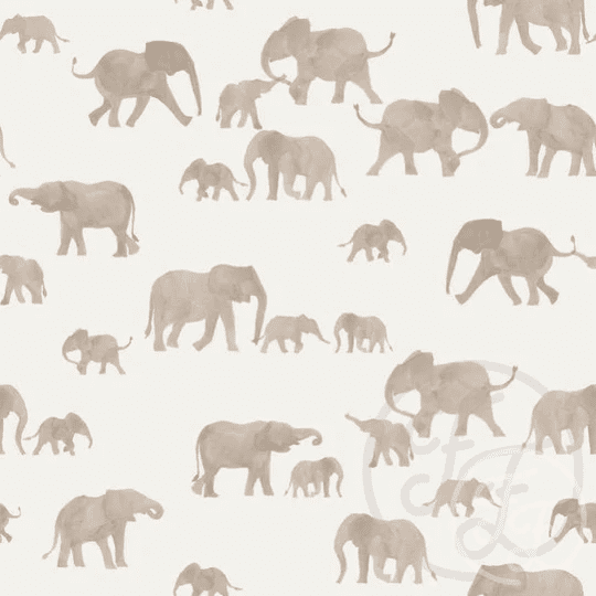 Elephants Grey