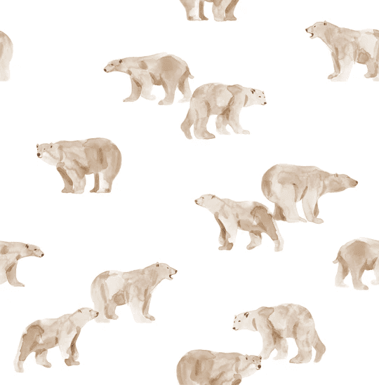 Polar Bear Off White