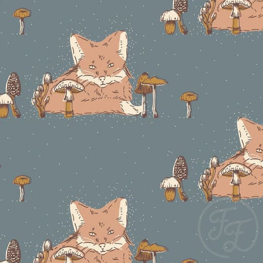 Fox On Grey