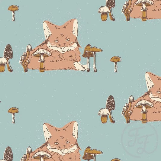 Fox On Turquoise