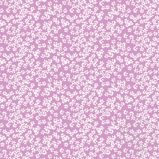 Snow In Summer Purple