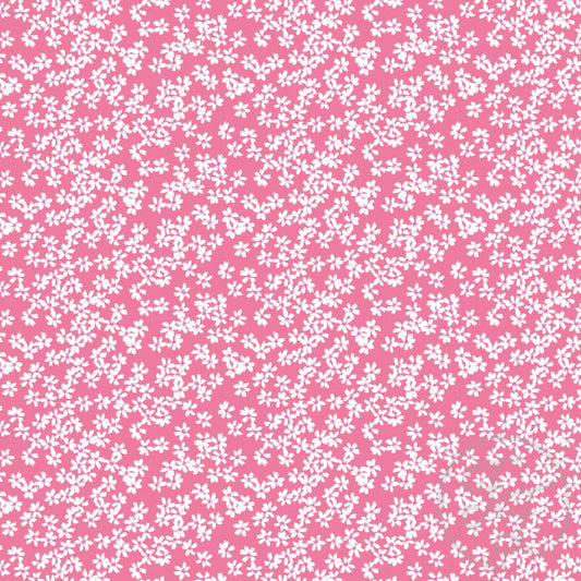 Snow In Summer Pink