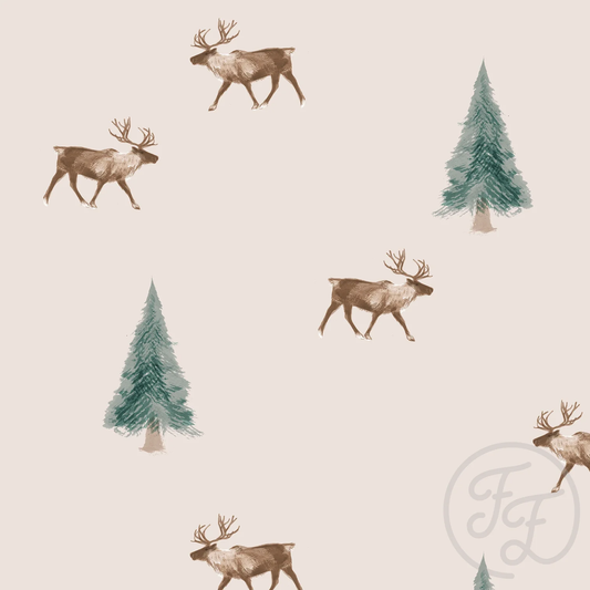 Reindeer