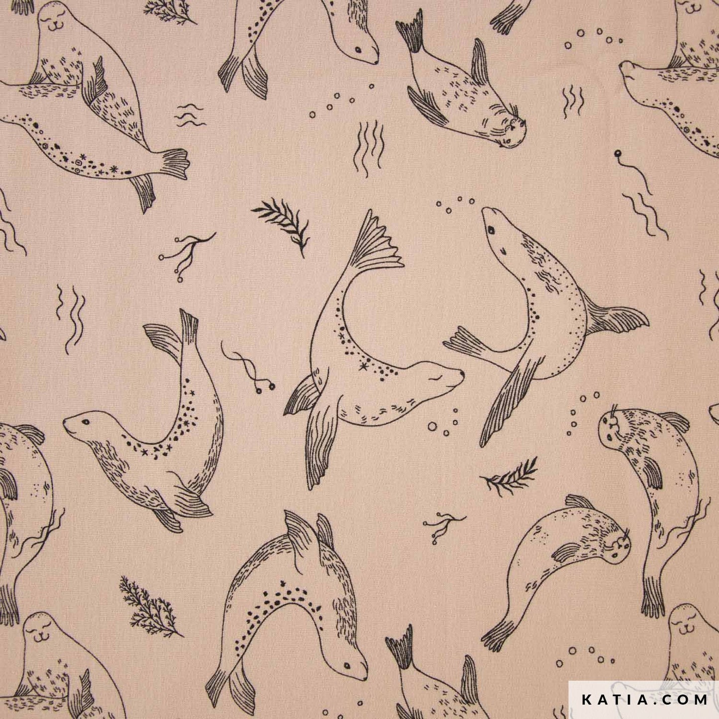 Sea Lions Swimming Summer Sweat