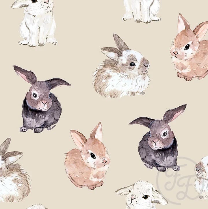 Bunnies