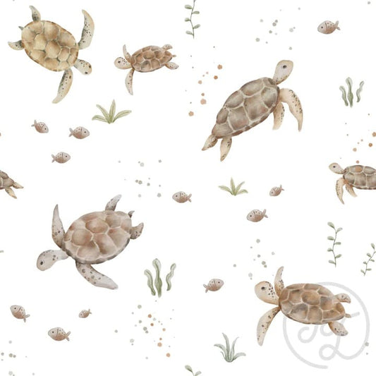 Turtles White