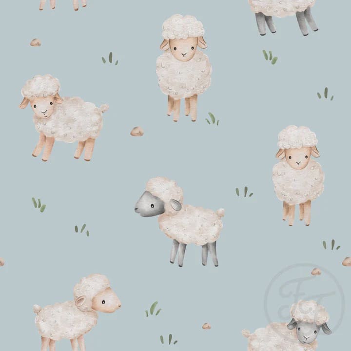 Sheep Baby Blue