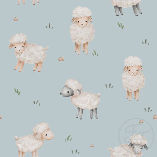 Sheep Baby Blue